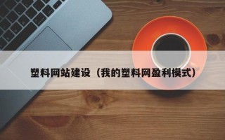 金坛塑料网站建设（我的塑料网盈利模式）