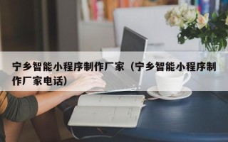 金坛宁乡智能小程序制作厂家（宁乡智能小程序制作厂家电话）